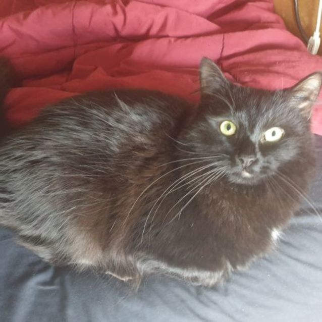 Photo of Jinx