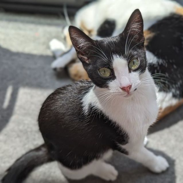 Photo of Lewis And Lily 