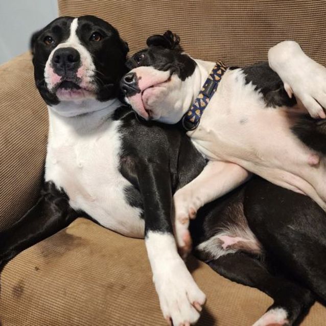 Photo of Jane And Thor