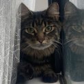 Photo of Jaiyana (Located In Cranbourne East)