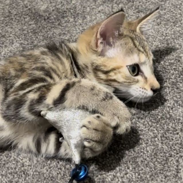 Photo of Elsie 🦋💕