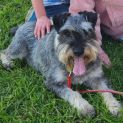 Photo of Photon