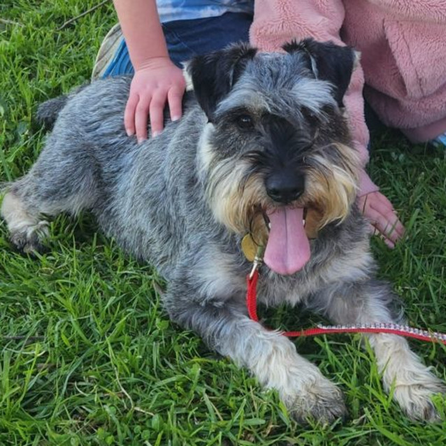 Photo of Photon