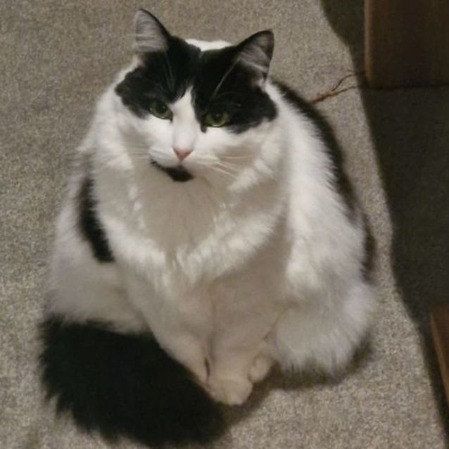 Photo of 🐭Schnooki 🐭