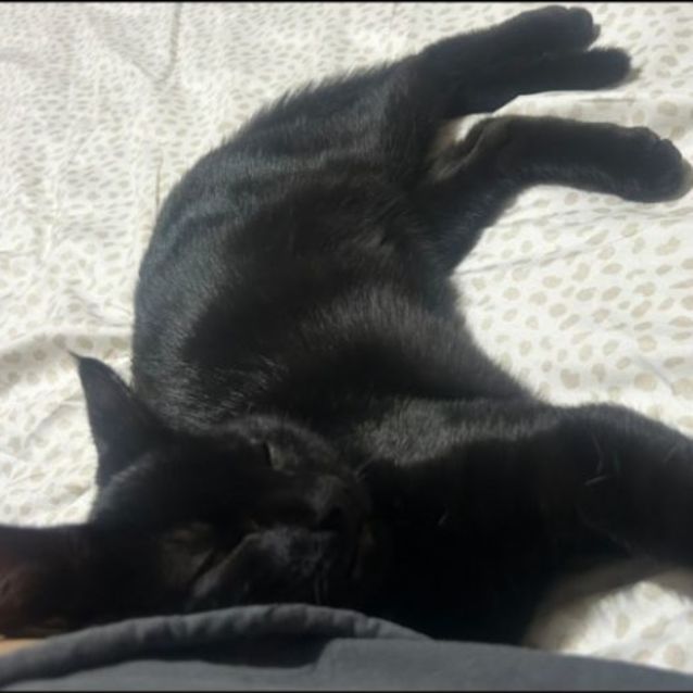 Photo of Ted