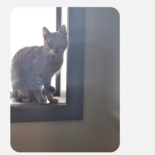 No photo for Missy