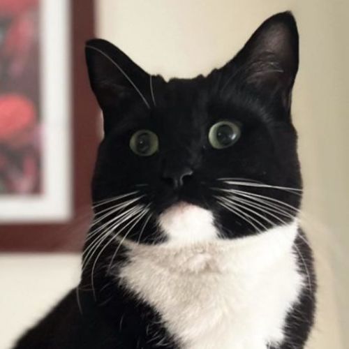 Cabernet - Located in Preston