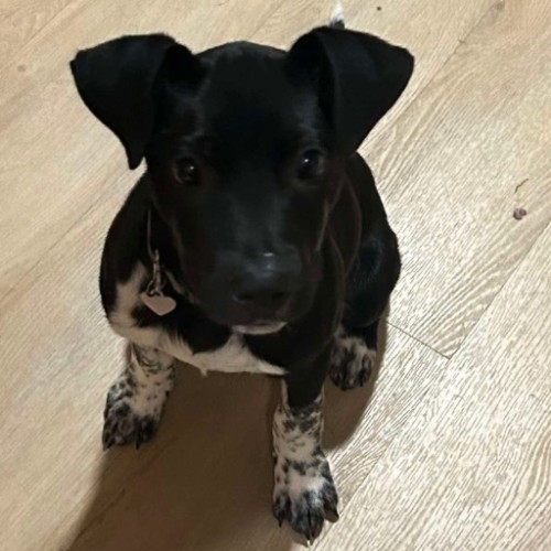 Chester
