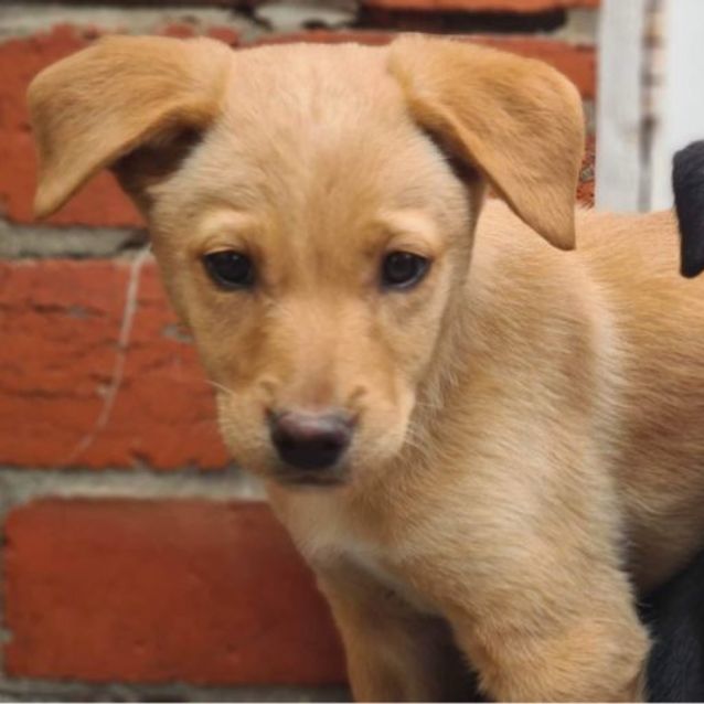 Photo of Star