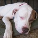 Photo of Chyna 