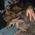 Photo of Photon