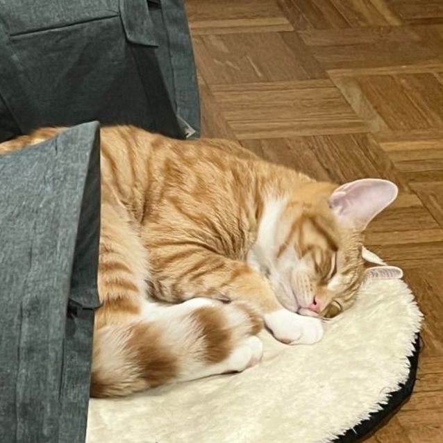 Photo of Oj And Ruben