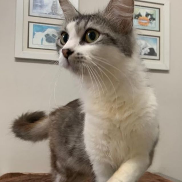Photo of Precious