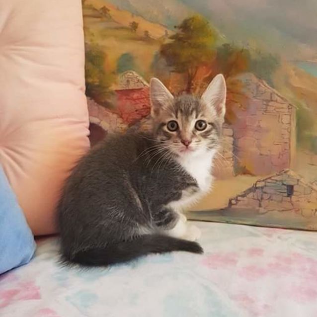 Photo of Bobby 