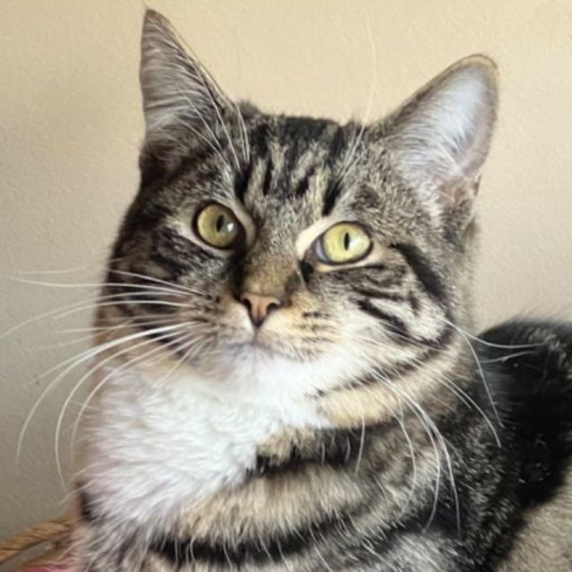 Photo of Chase   Can Deliver To You