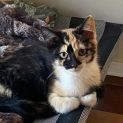 Photo of Samantha