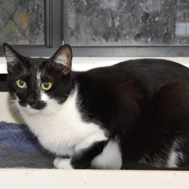 Photo of Miss Mellie