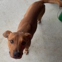 Photo of Max