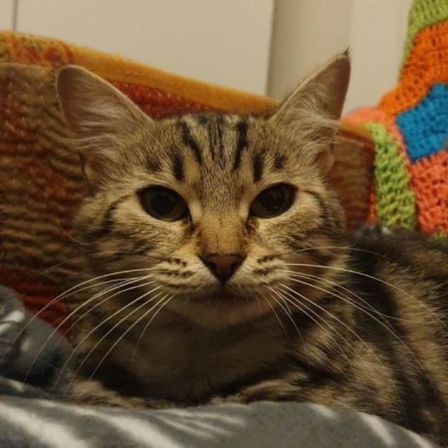 Photo of Patty 💜🌸