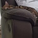 Photo of Diego