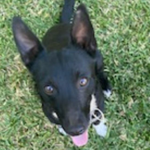 Photo of Eddie
