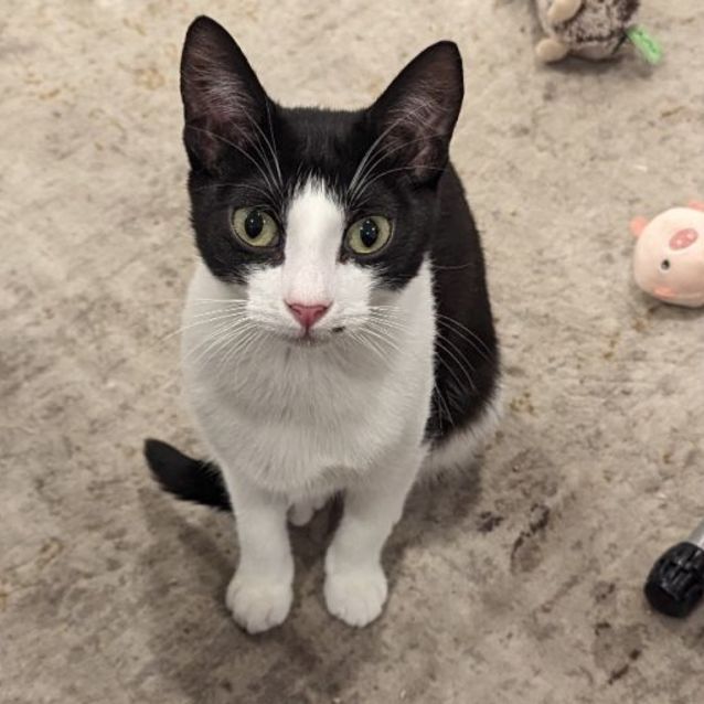 Photo of Lewis And Lily 