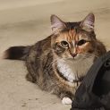 Photo of Ramona