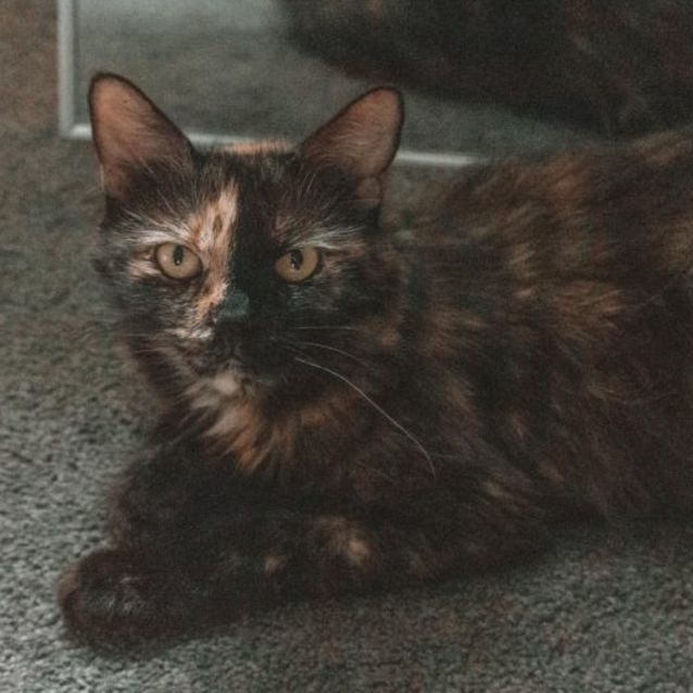 Photo of Sasha