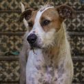 Photo of Peggy