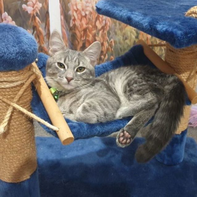 Photo of Storm