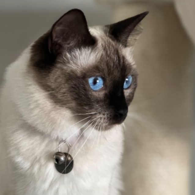 Photo of Tilly ❤️