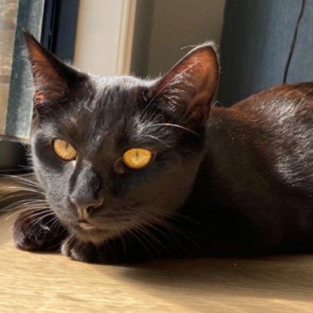 Photo of Sinders Yeager