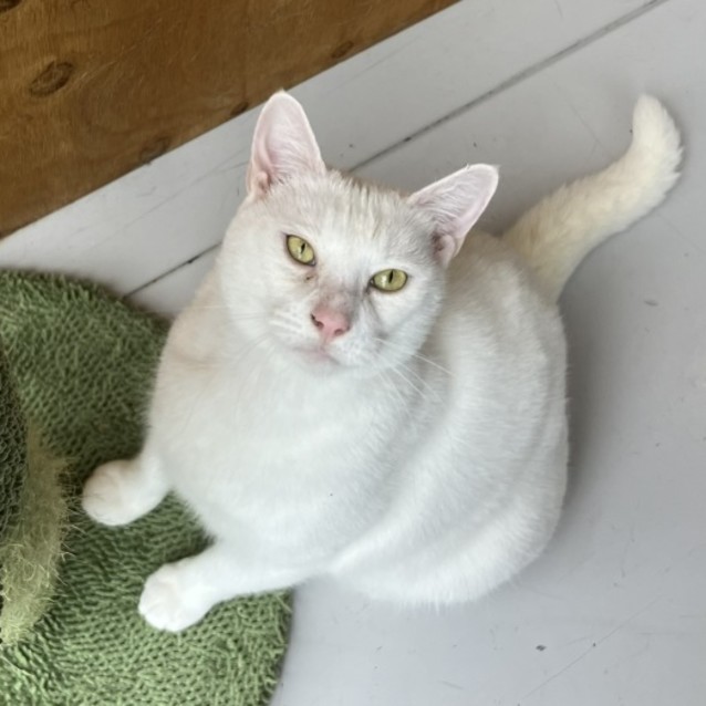 Photo of Bidgy