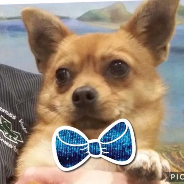 Photo of Darren