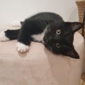 Photo of Luna