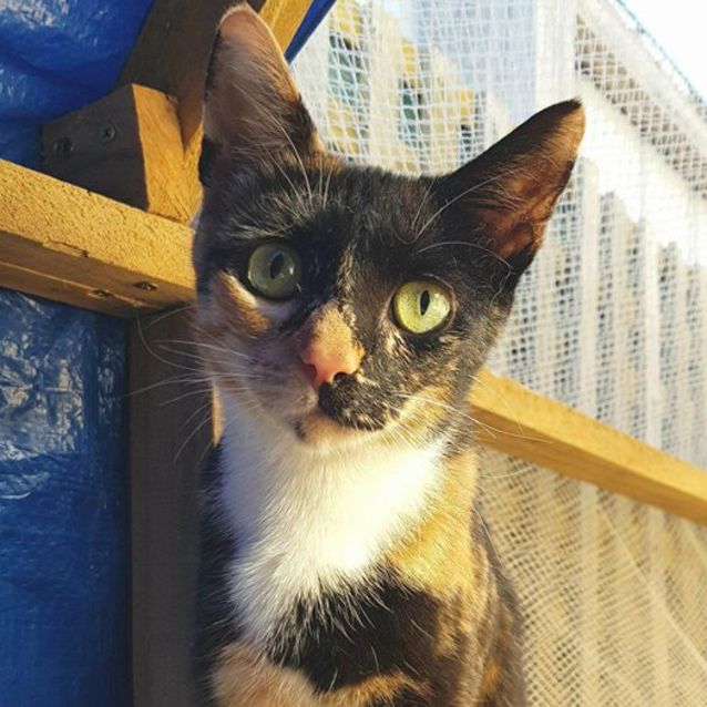 Photo of Stunning Pocahontas! 