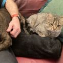 Photo of Tabitha   Located In Lower Templestowe