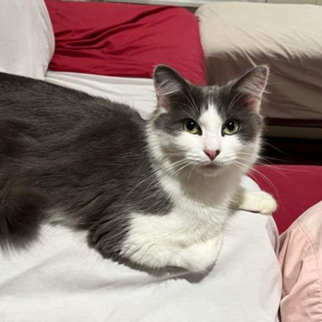 Photo of 💜 Oakley 💜