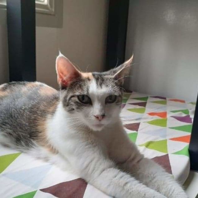 Photo of Lady ❤