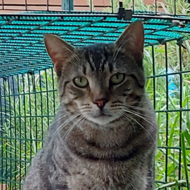 Photo of Albert & Malcolm 😻😻