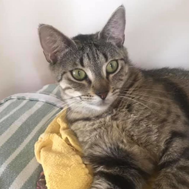 Photo of Zara & Jimmy