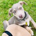 Photo of Agosto