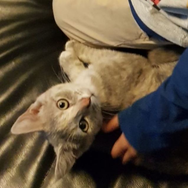 Photo of Rosie