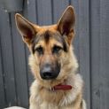 Photo of Kaiser