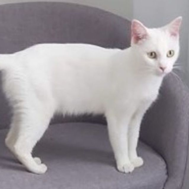 Photo of Maybell