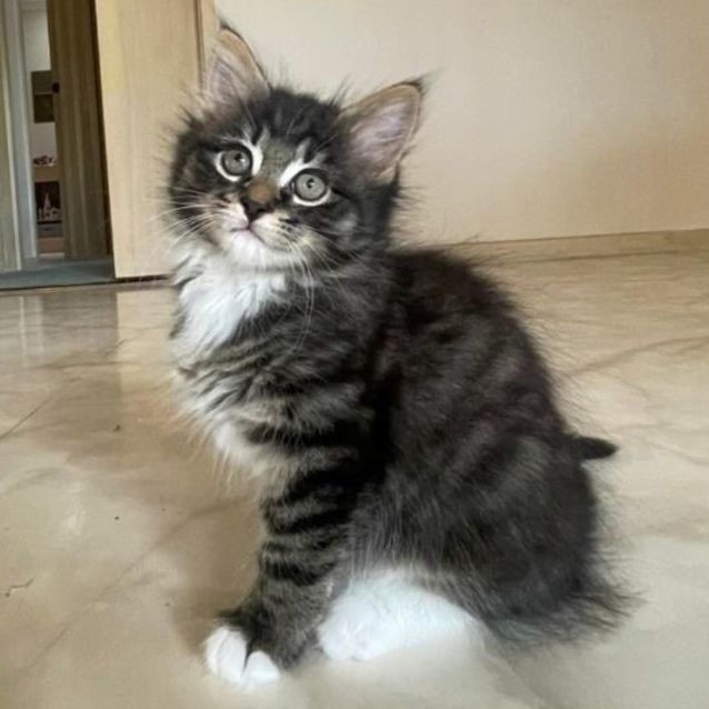 Photo of Cooney (Located In Edithvale)