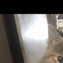 Photo of Teddy