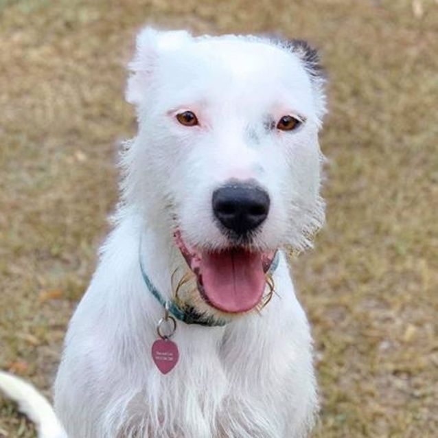 Photo of Roxy