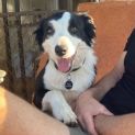 Photo of Max