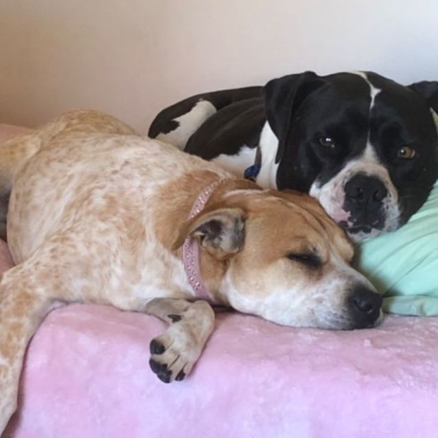 Photo of Lexi And George 